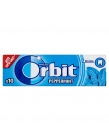 Žuvačka orbit peppermint
